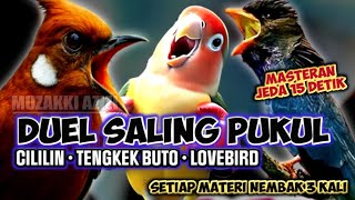 Download lagu MATERI MBLEDOS!! KOMBINASI MEWAH CILILIN TENGKEK BUTO LOVEBIRD || MASTERAN MURAI CAKIJO KACER CENDET mp3 Download lagu MATERI MBLEDOS!! KOMBINASI MEWAH CILILIN TENGKEK BUTO LOVEBIRD || MASTERAN MURAI CAKIJO KACER CENDET mp3