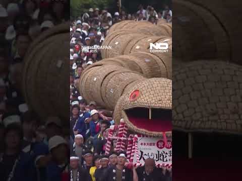 Giant bamboo snake parades through Japanese village #nocomment #youtubeshorts #shorts