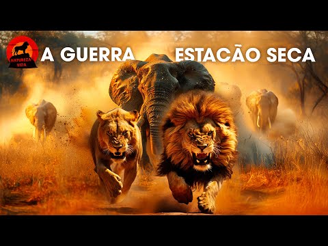 SAVANA AFRICANA | A Batalha Pela Sobrevivência na Estação Seca #animaisselvagens