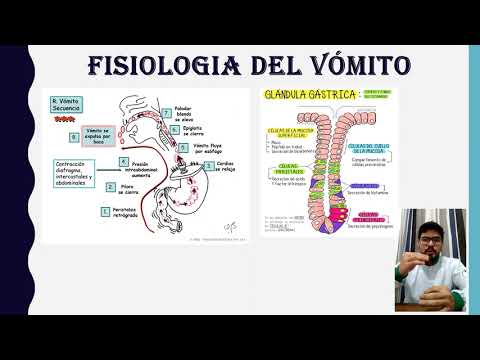Apresentação fisiologia del vómito