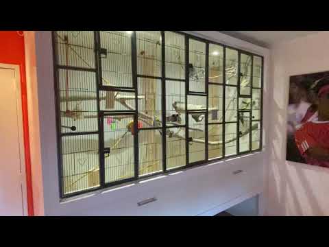 Cage volière calopsitte ondulée