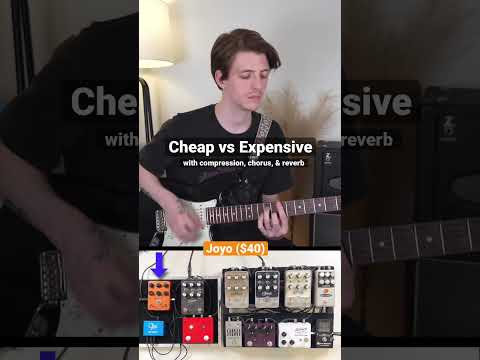 $40 Amp Pedal vs $400 Amp Pedal #shorts #guitarpedals #guitartone