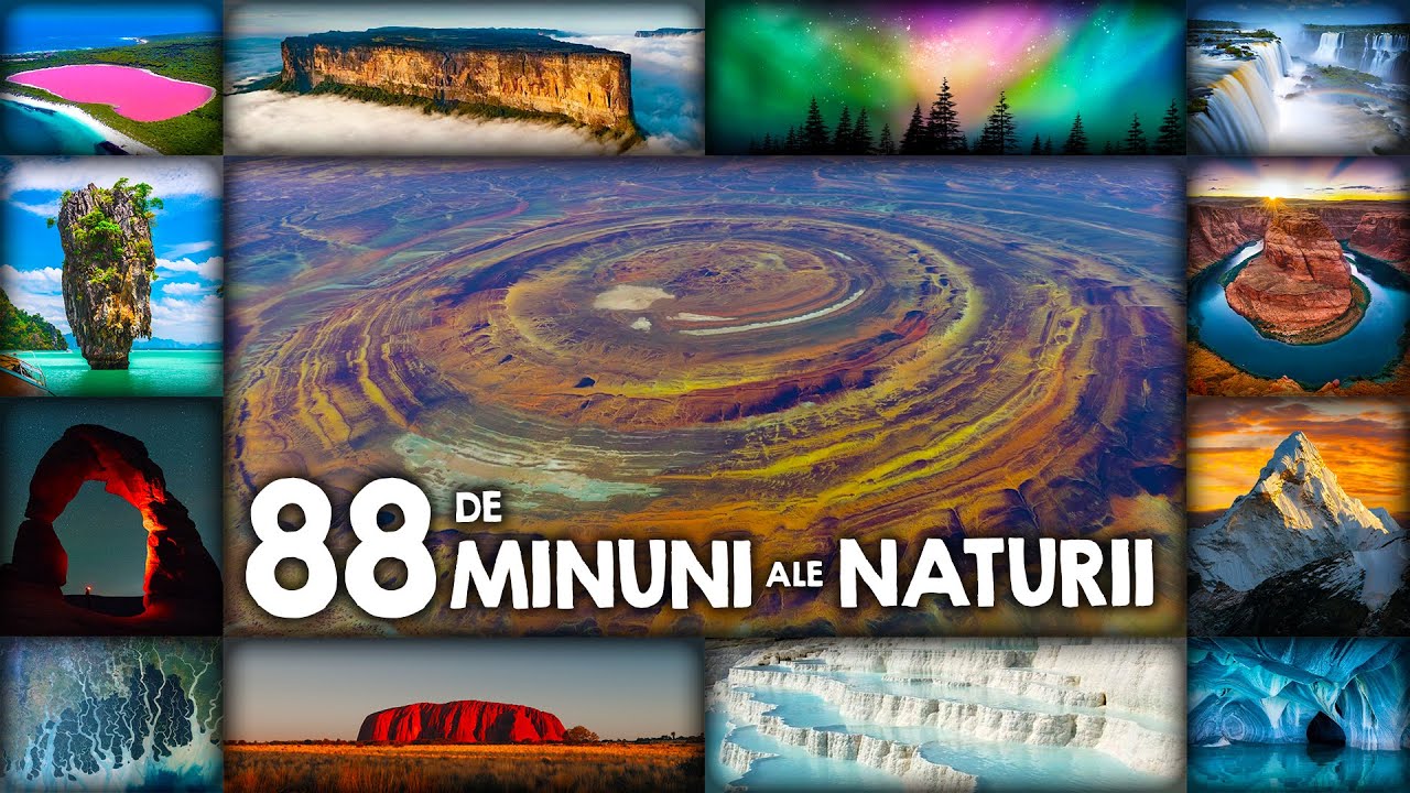 88 de MINUNI ale NATURII