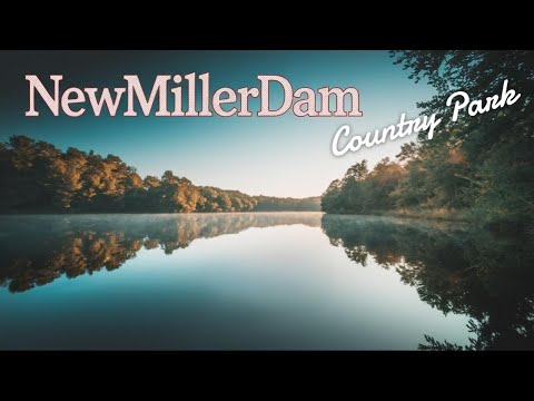 Exploring Newmillerdam Country Park: A Hidden Gem