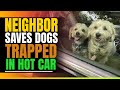 NEIGHBOR Saves Dogs Trapped In Hot Car. Then This Happens