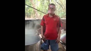 Download lagu wayae wayae mp3 Download lagu wayae wayae mp3