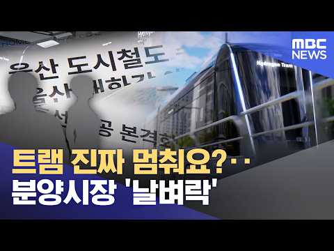 트램 진짜 멈춰요?‥ 분양시장 &#39;날벼락&#39; (202…