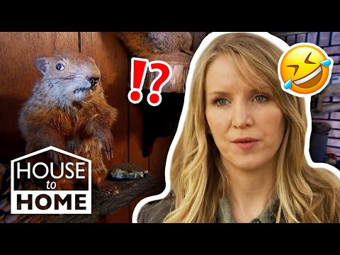 Questi stravaganti oggetti da collezione aiuteranno Cari a prenotare i biglietti per una nave da ...