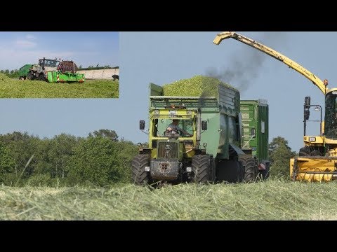 PACKT DER MB-TRAC 1000 DIE BRANTNER MULDE ?|MIT DEM UNIMOG SILO VERDICHTEN ?|GPS Ernte 2019|