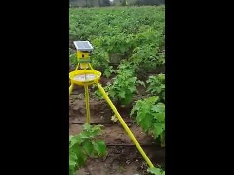 Solar Led Insect Light Traps (Without Stand)