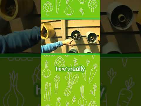 Mason Bees: Solitary Garden Heroes