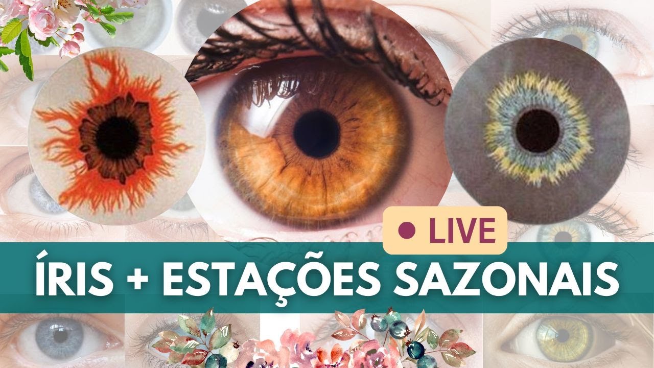 Os padrões da íris e as paletas de cores!