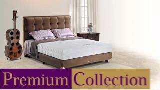 Kangaroo Global Video Catalog