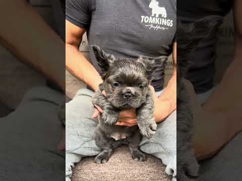 Video 1