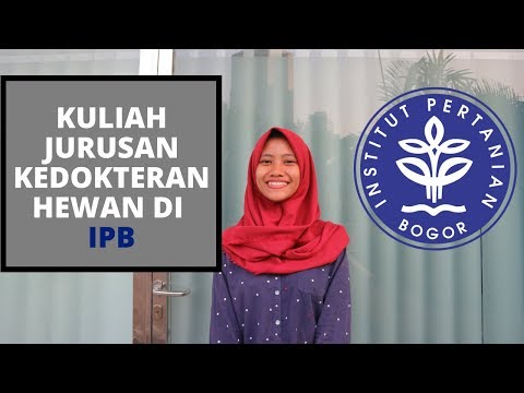 download lagu mp3 mp4 Syarat Masuk Kedokteran Hewan, download lagu Syarat Masuk Kedokteran Hewan gratis, unduh video klip Download Syarat Masuk Kedokteran Hewan Mp3 dan Mp4 320kbps Gratis