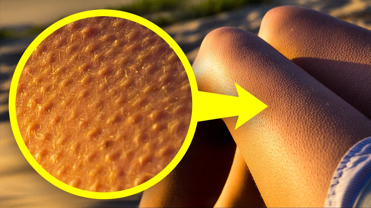 75 крутых фактов, которые можно рассказать на вечеринке