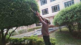 STIHL HSE 52 