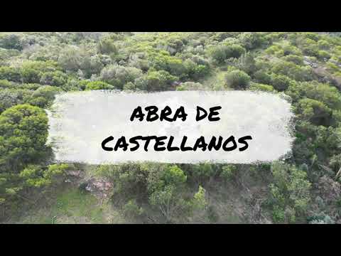 Abra de Castellanos