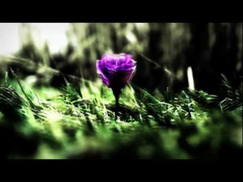 Enya - Sumiregusa (Wild Violet)