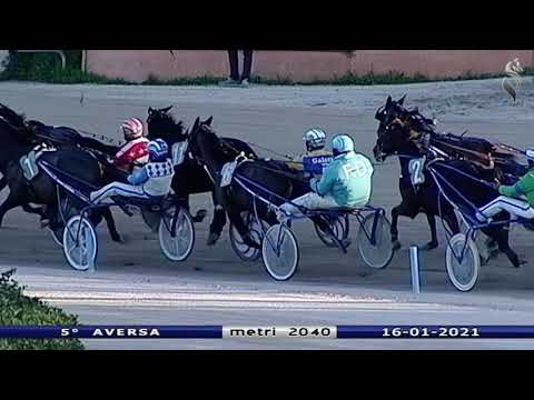 Aversa trotto 16 Gennaio 2021 - 5° Corsa