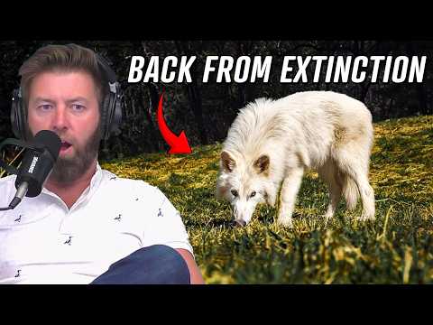 Dire Wolf Brought Back 10,000 Years After Extinction
