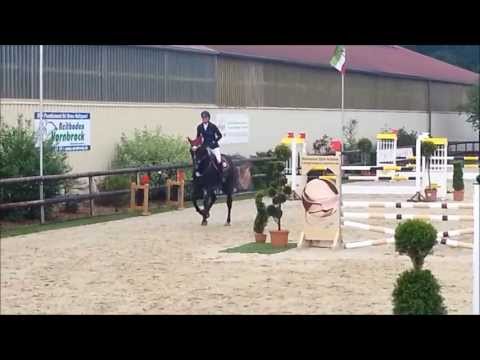 Hengst Diacasall 2013