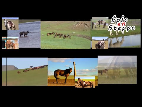 , title : 'Les chevaux mongols'