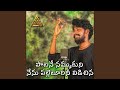 Paatane Nammukuni Nenu Palleturu Vidichina