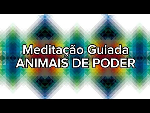 Meditação ANIMAIS DE PODER 