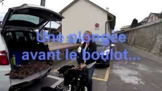 preview picture of video 'Plongée à Rivaz le matin avant d'aller au boulot'