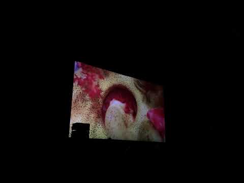 Animal Collective 'Tangerine Reef' - Live at Vista Theater, LA 12/10/2018