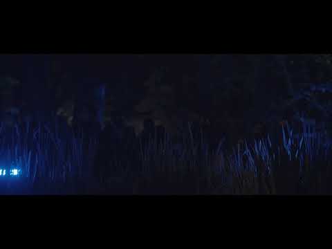 Lyra Pramuk (US / DE) | Live Performance @JARDINS EFÉMEROS, Viseu, PT