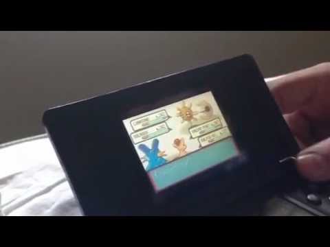 Pokemon Rubino capipalestra di Verdeazzurropoli