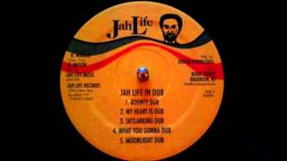 The Scientist - What you gonna Dub