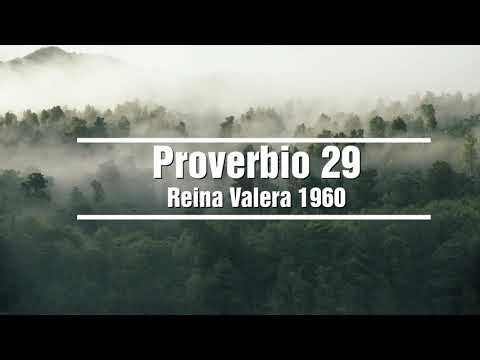 PROVERBIO del dia 29 - RVR60 - Reina Valera 1960 - Sabíduria ante todo