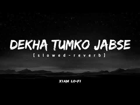 Deka Tumko Jabse || [Slowed-Reverb] experience || Deka Tumko Jabar ||