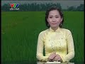 Trồng Hoa Trên Bờ Ruộng