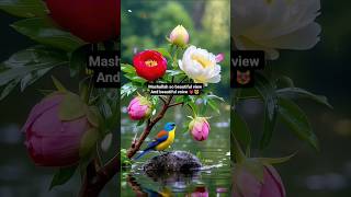 Download lagu Mashallah ❣️ Beauty of nature 💯💗 #nature #love #nice #youtube mp3