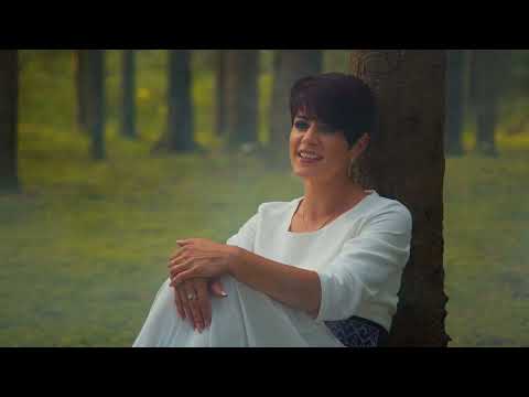 Dzērves Starpbrīdis