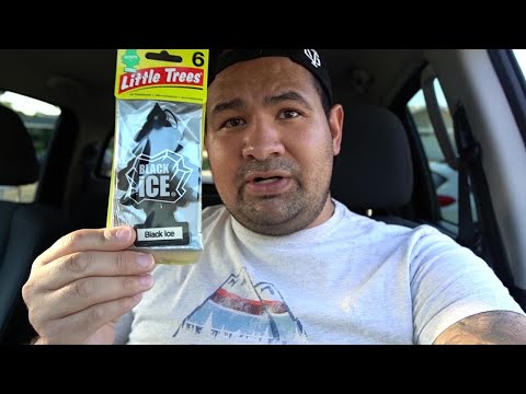 Black Ice Air Freshener LITTLE TREES: The Best Car Air Freshener