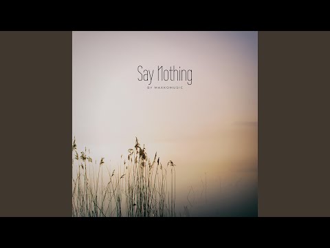 Say Nothing
