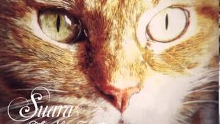 The New Elastics - It's Just A Word (Dosem Remix)