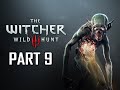 The Witcher 3: Wild Hunt Walkthrough Part 9 ...