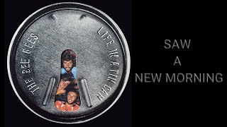 BEE GEES:  SAW A NEW MORNING