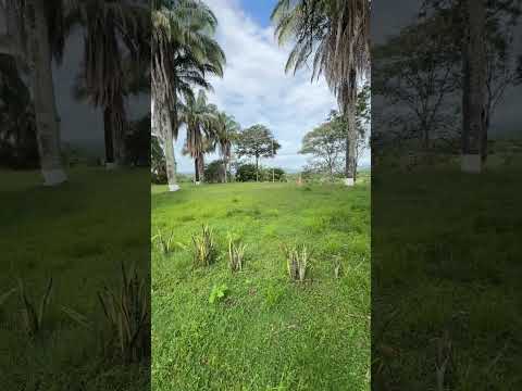 Separa con 6 millones tu  Lote en Melgar Tolima