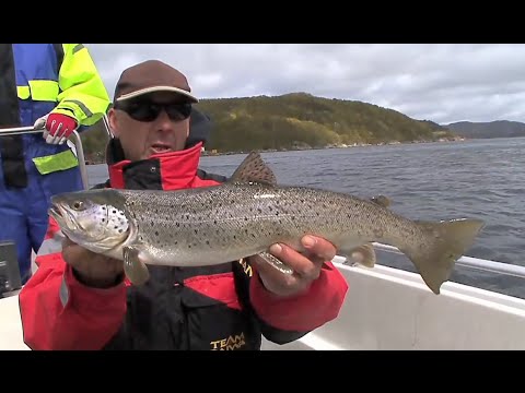 (1) Angeln in Südnorwegen