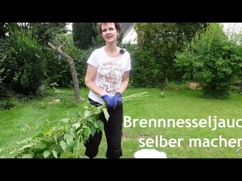 Brennnesseljauche selber machen - einfache Anleitung