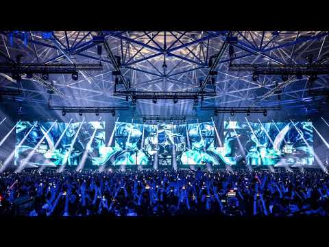 Martin Garrix x The Chainsmokers - Carry You x Roses (DJ Love Mashup)