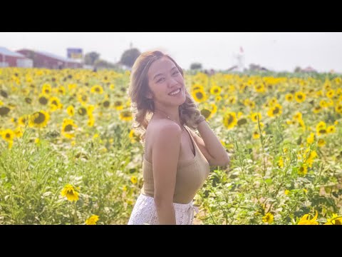 SUNFLOWER FARM DAY | P BAR FARM OKLAHOMA