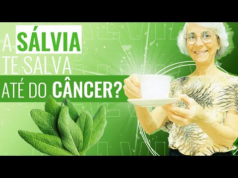 Use sálvia: para os ossos, diabetes, fadiga, menopausa